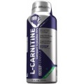 Gibbon L-Carnitine 450ml - 30 Servings Green Mango