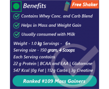 Scitron Mega Mass Gainer 1kg  Mango