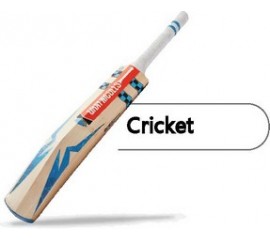 Cricket