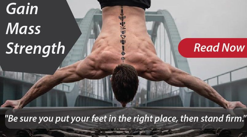 Gain Muscle Gain Strength